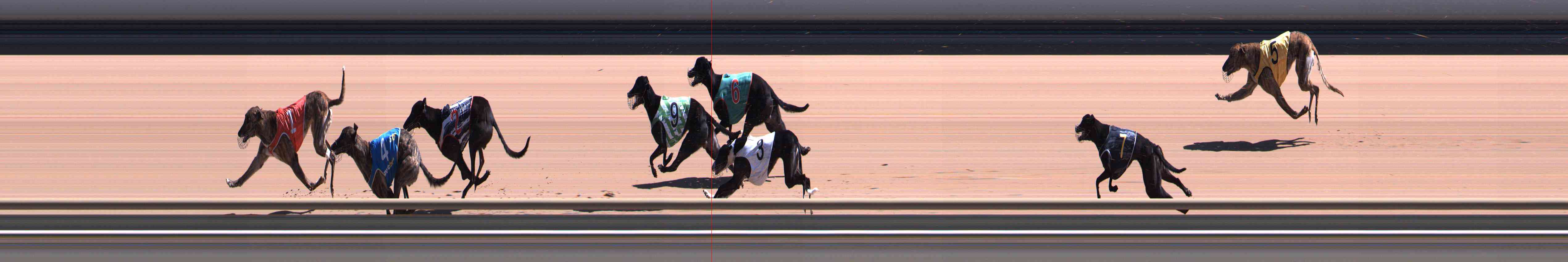 Photo finish for Healesville Race 6
