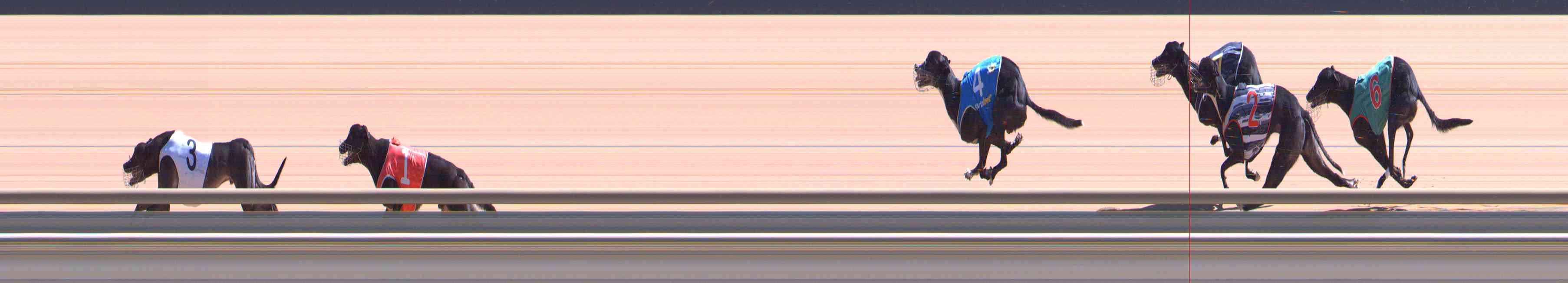 Photo finish for Healesville Race 8