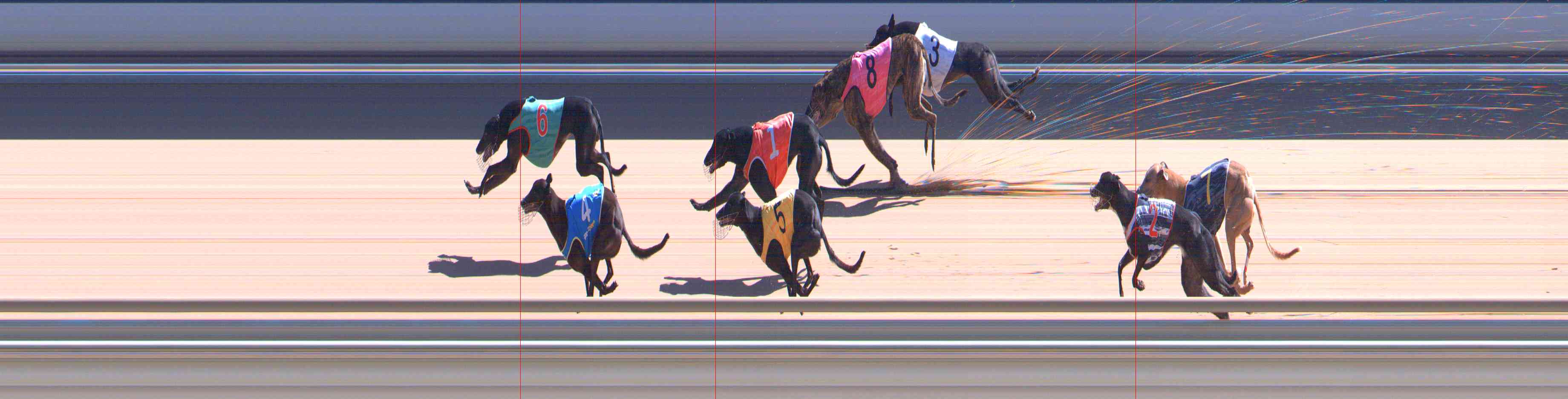 Photo finish for Healesville Race 9