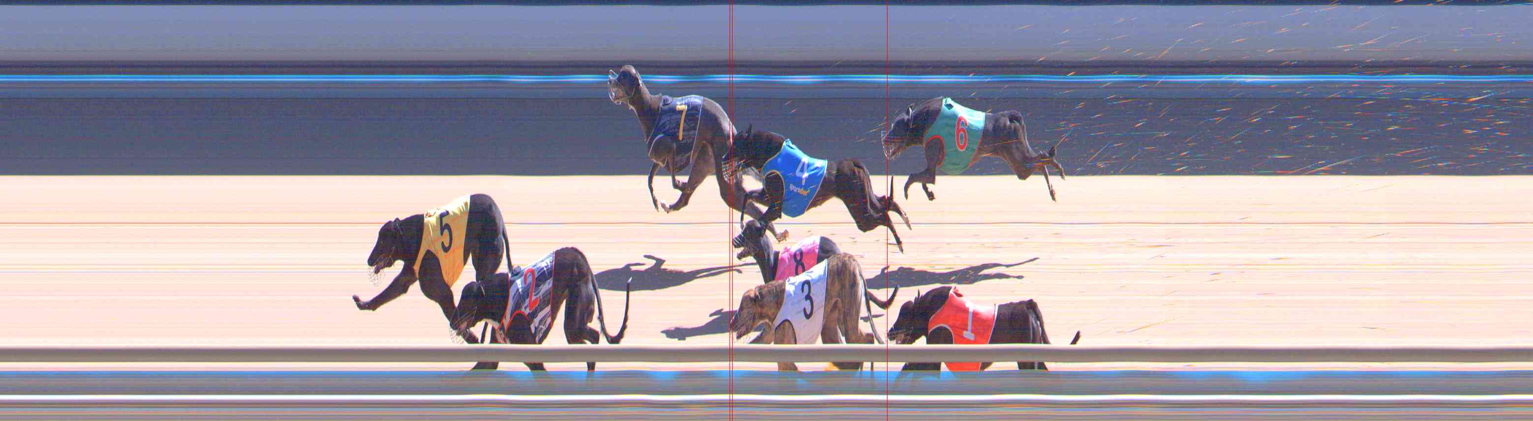 Photo finish for Healesville Race 10