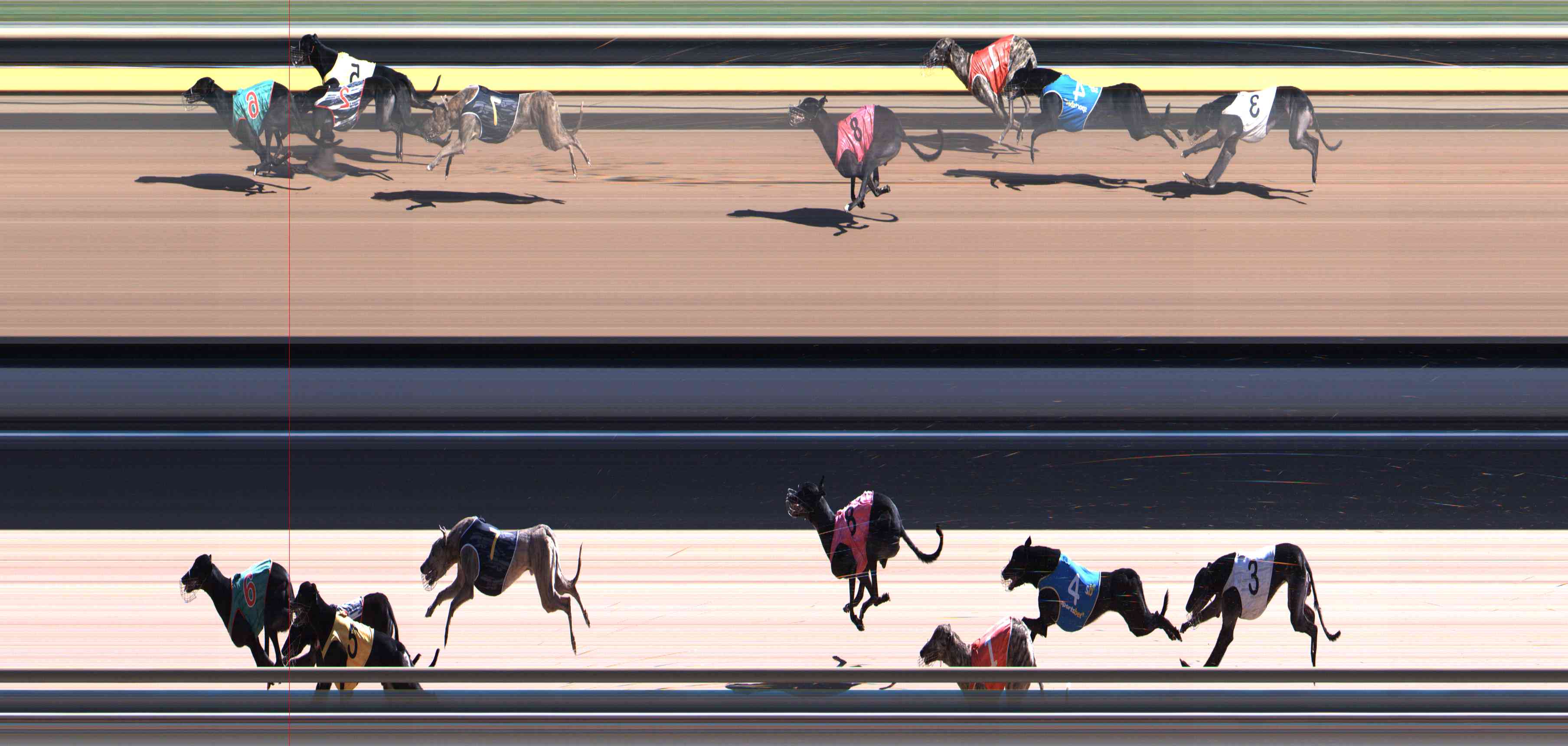 Photo finish for Healesville Race 11