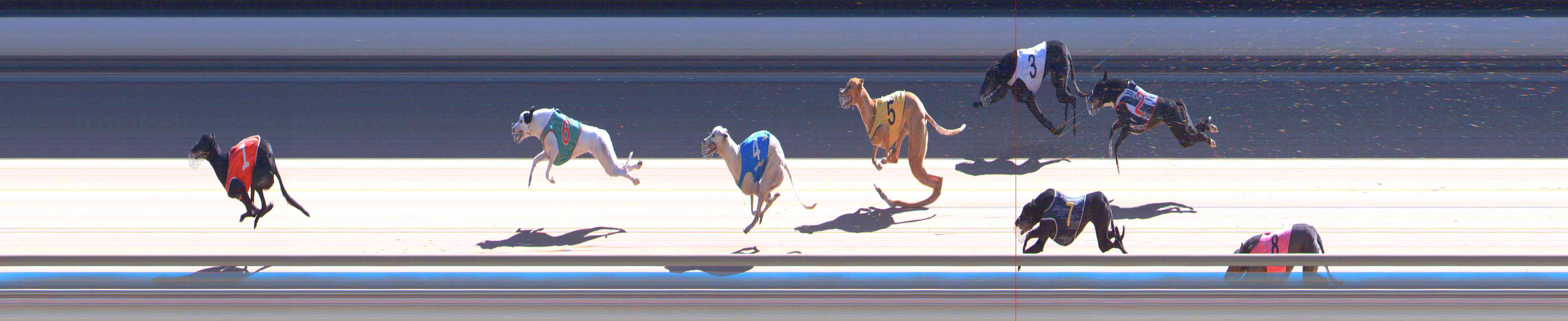 Photo finish for Healesville Race 12