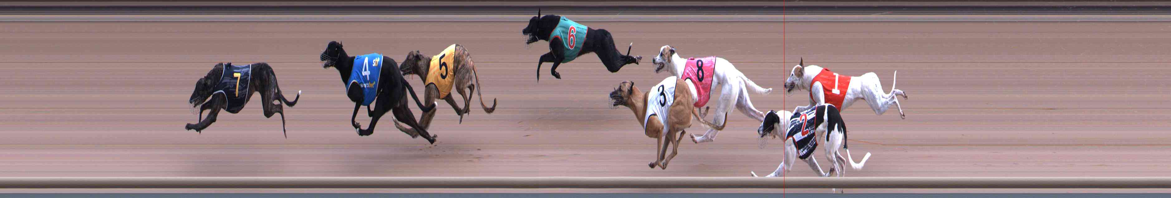 Photo finish for Healesville Race 1