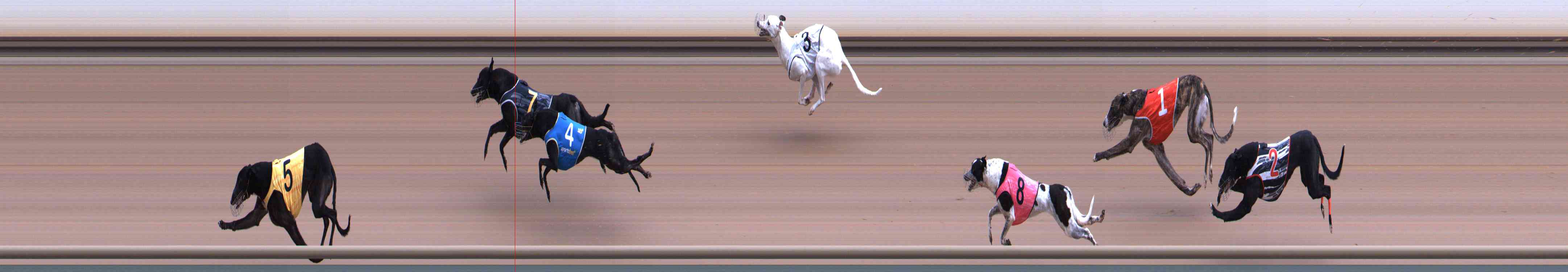 Photo finish for Healesville Race 2