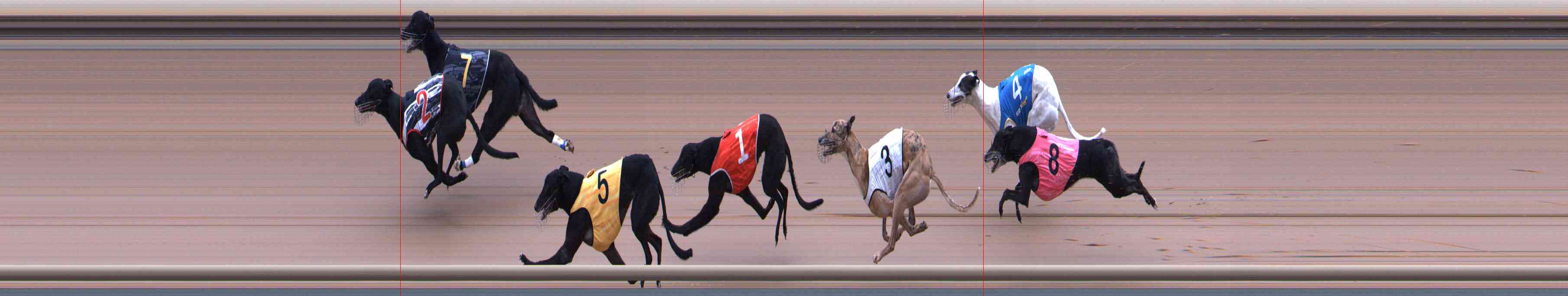 Photo finish for Healesville Race 3