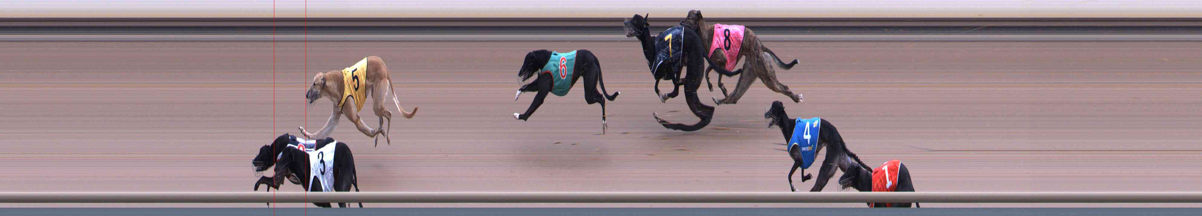 Photo finish for Healesville Race 4