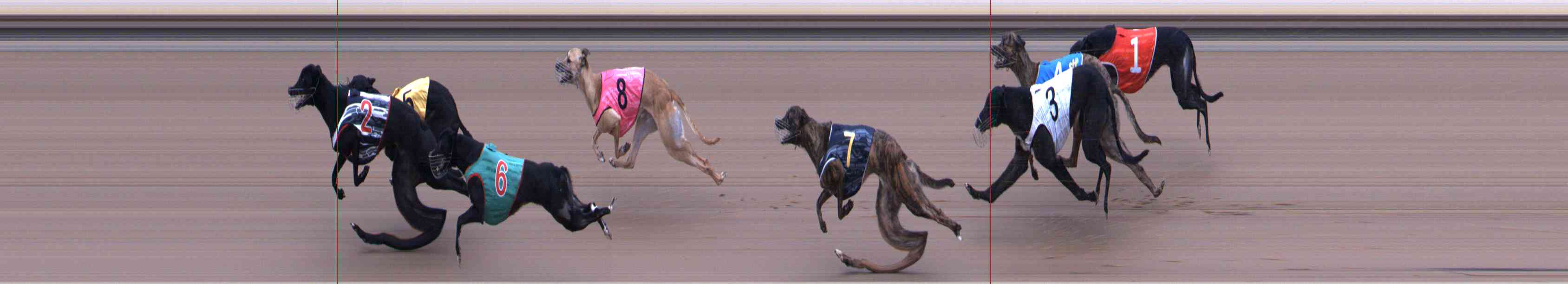 Photo finish for Healesville Race 6
