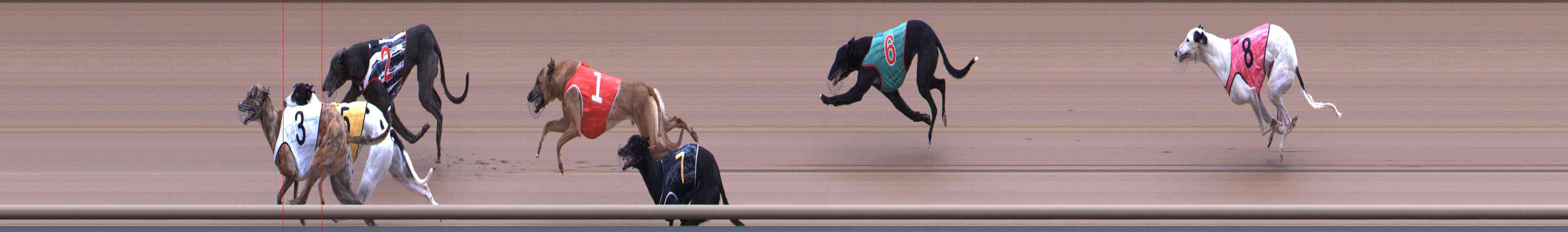 Photo finish for Healesville Race 7