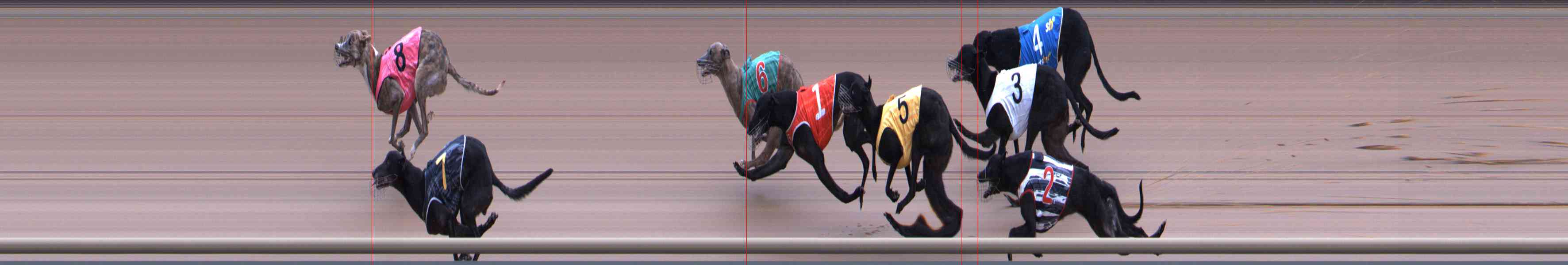 Photo finish for Healesville Race 8