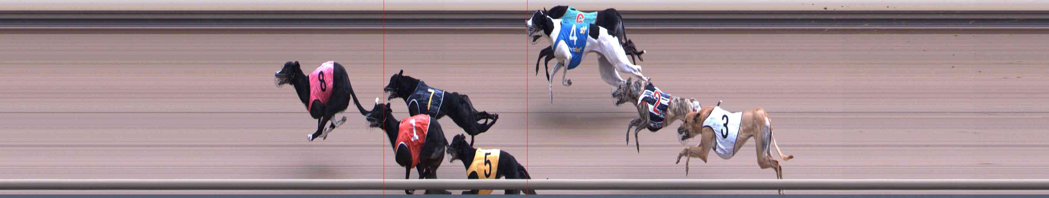 Photo finish for Healesville Race 9