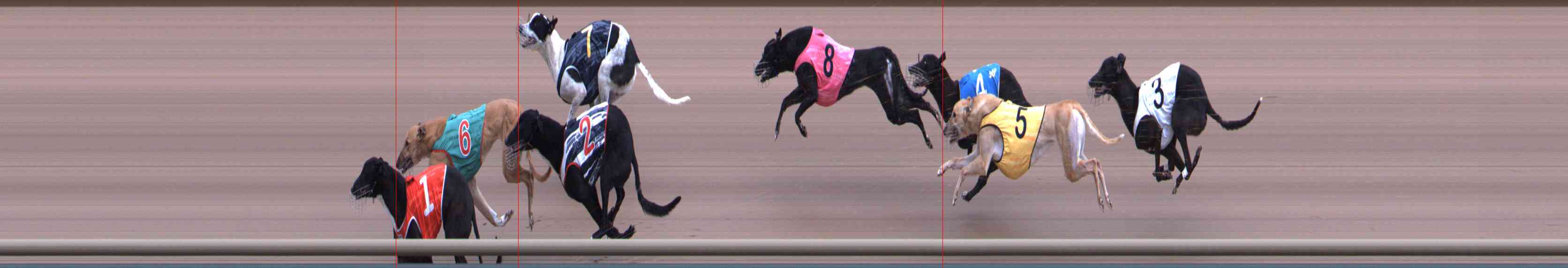 Photo finish for Healesville Race 10