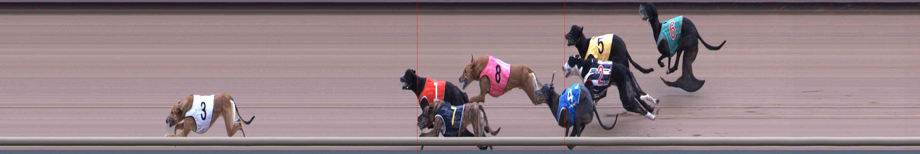 Photo finish for Healesville Race 11