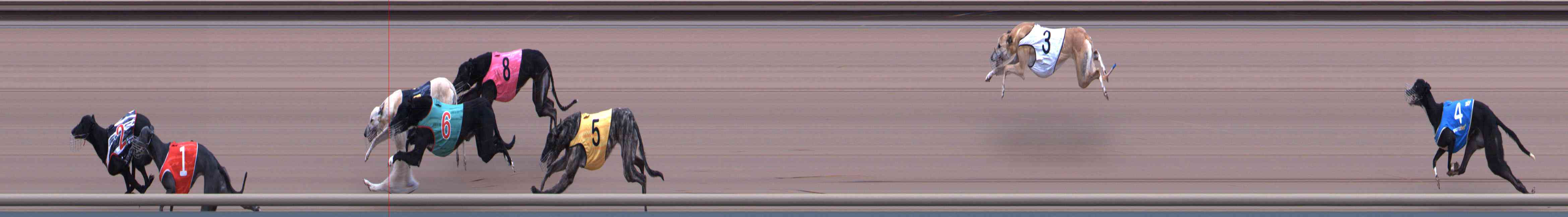 Photo finish for Healesville Race 12