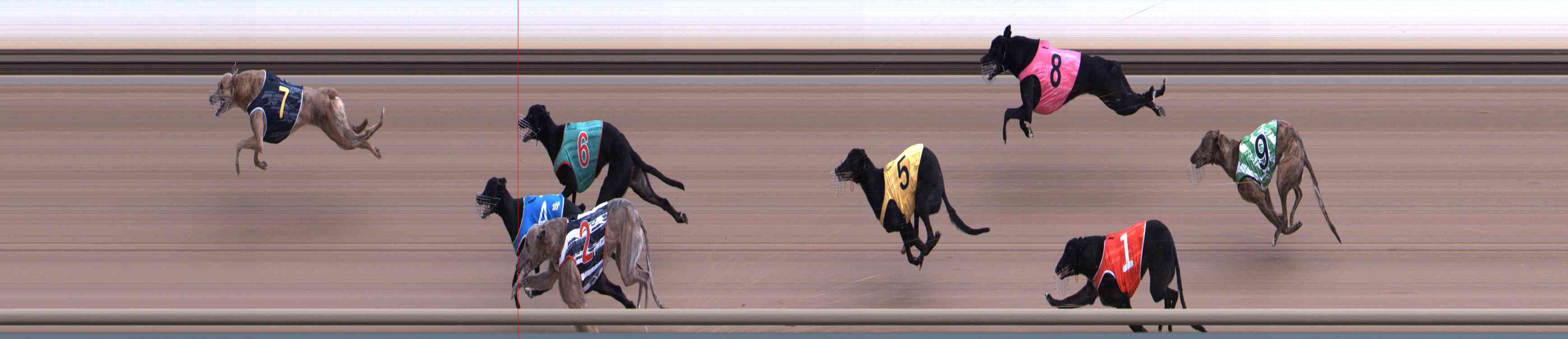 Photo finish for Healesville Race 1