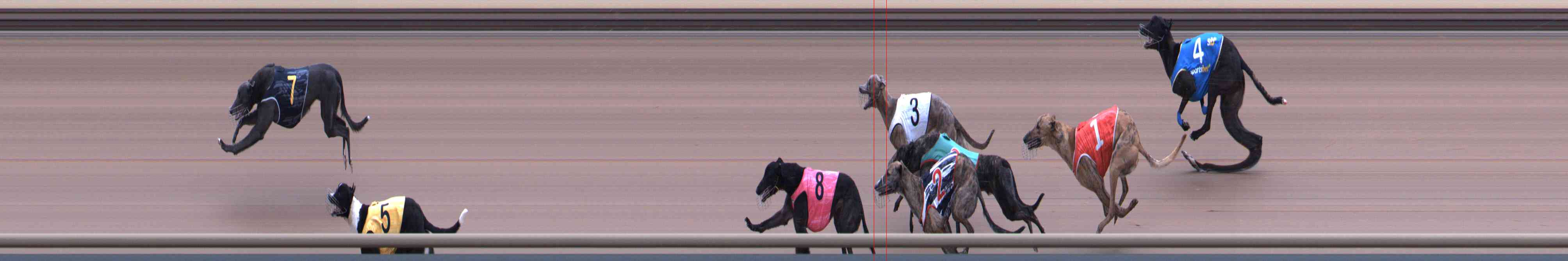 Photo finish for Healesville Race 2