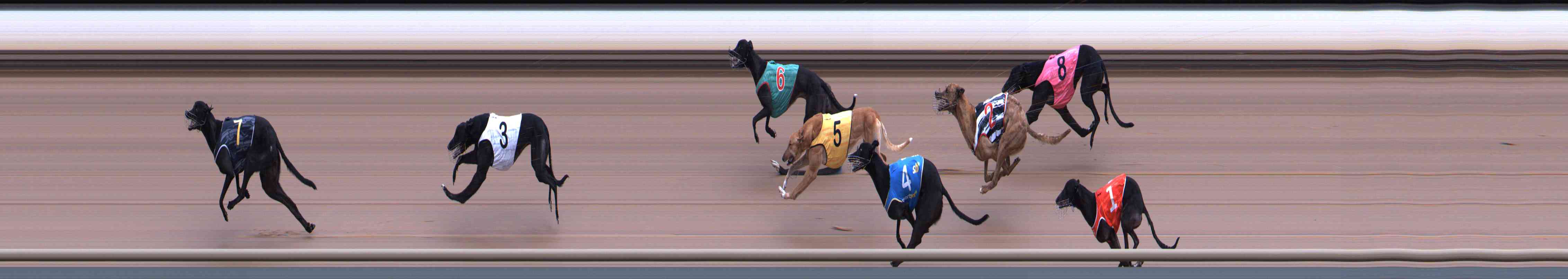 Photo finish for Healesville Race 3