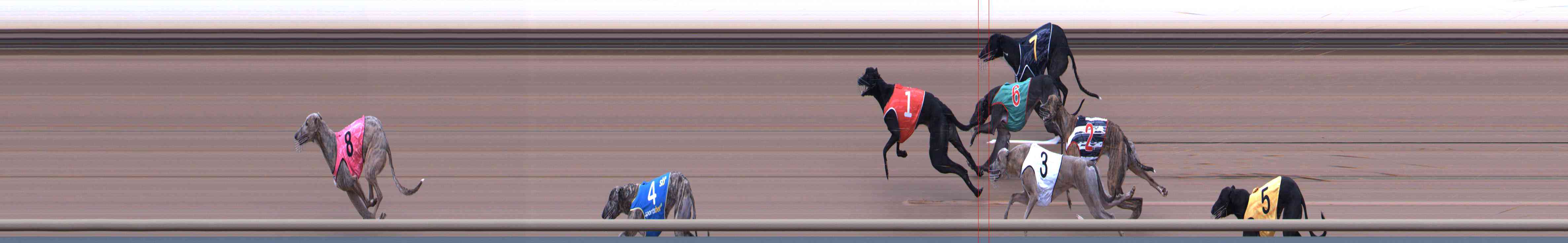 Photo finish for Healesville Race 4