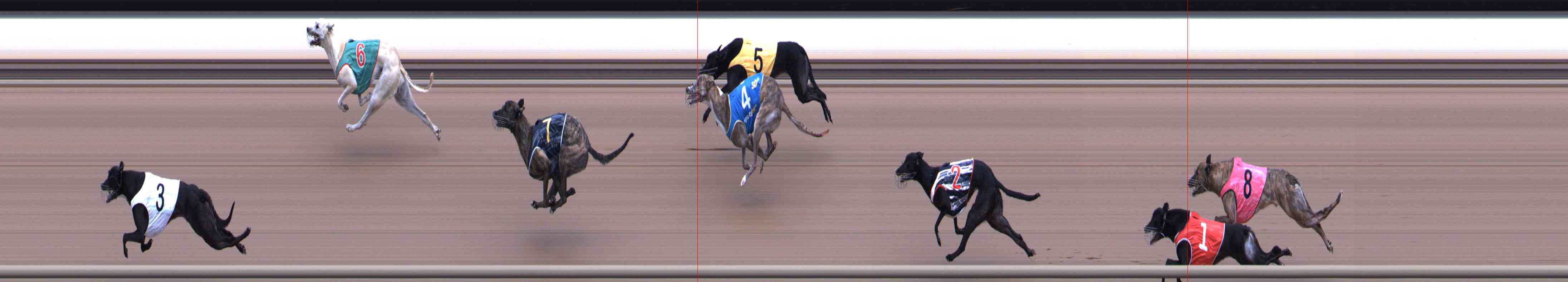 Photo finish for Healesville Race 5
