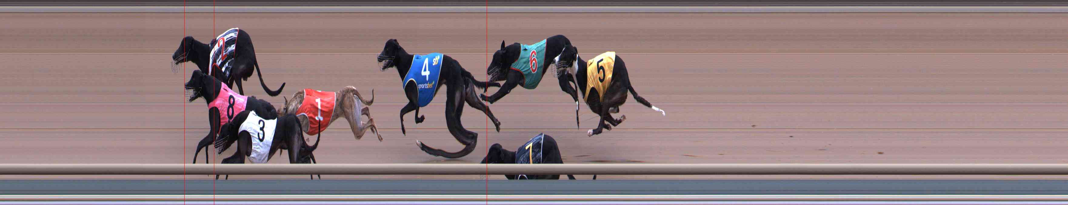 Photo finish for Healesville Race 6