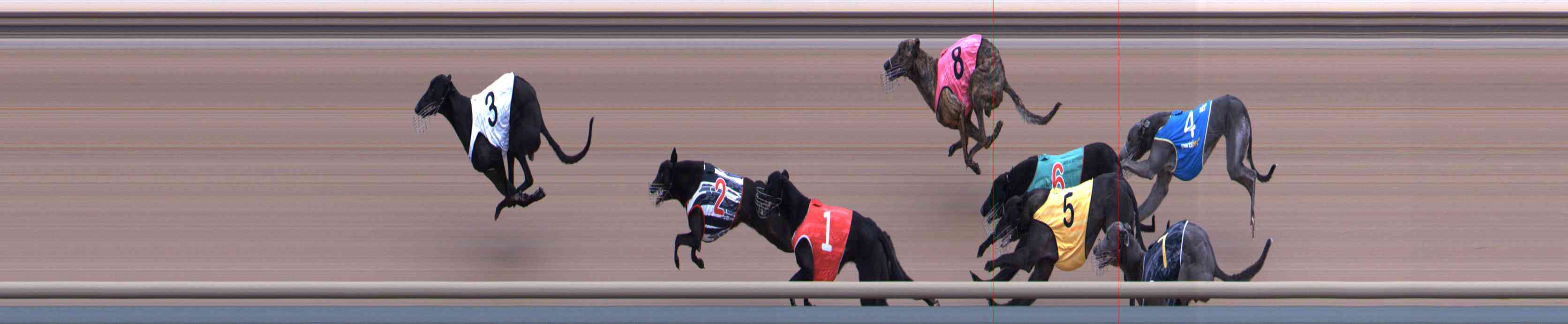 Photo finish for Healesville Race 7