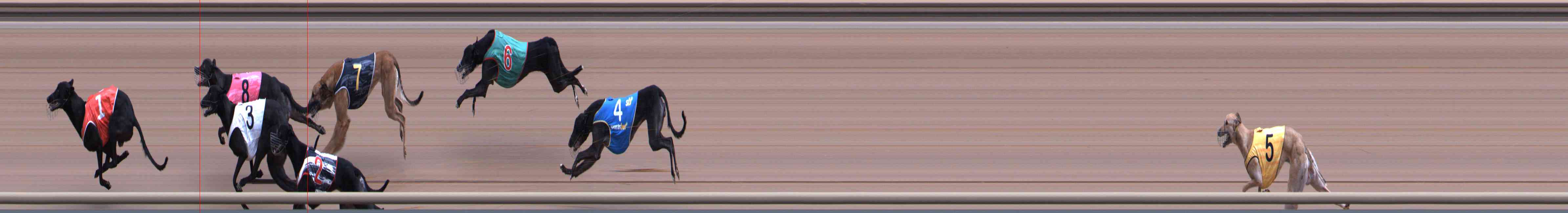 Photo finish for Healesville Race 8