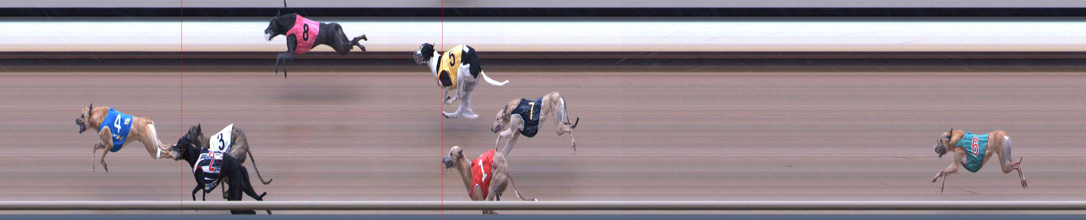 Photo finish for Healesville Race 9