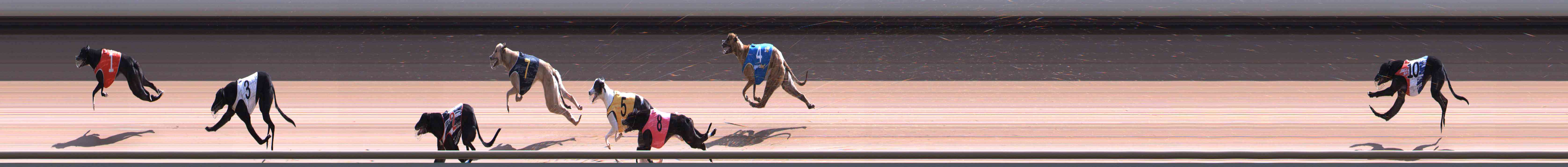 Photo finish for Healesville Race 10