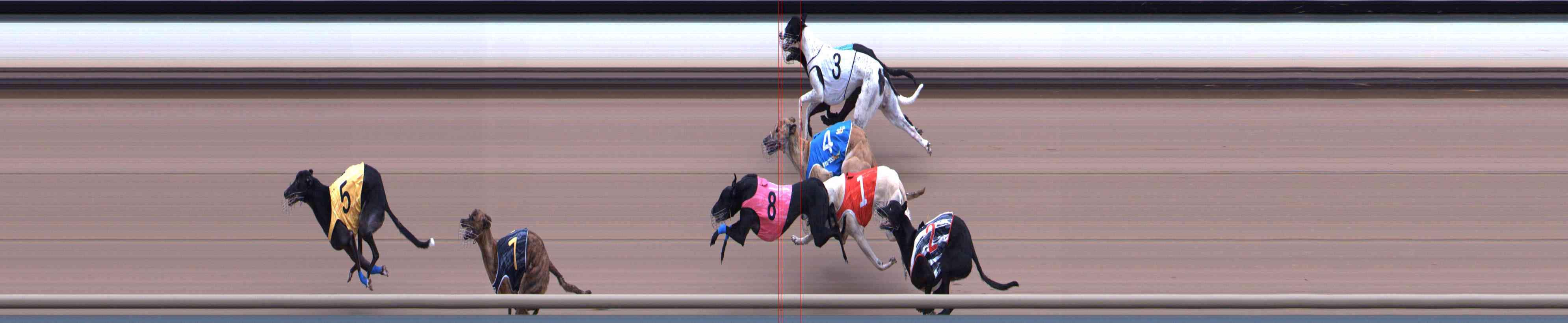 Photo finish for Healesville Race 11
