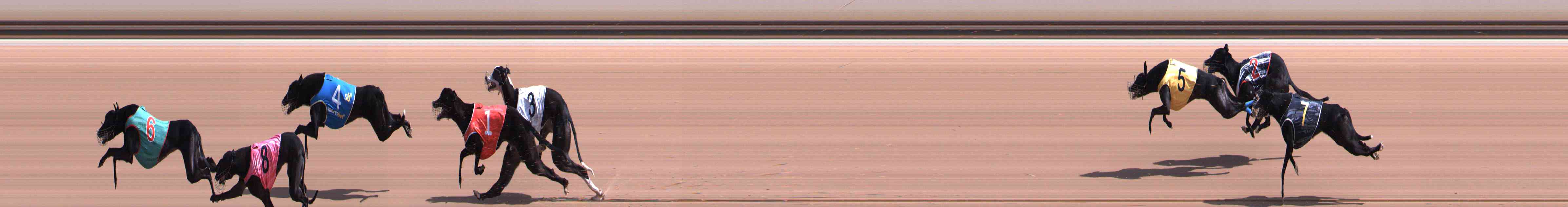Photo finish for Healesville Race 1