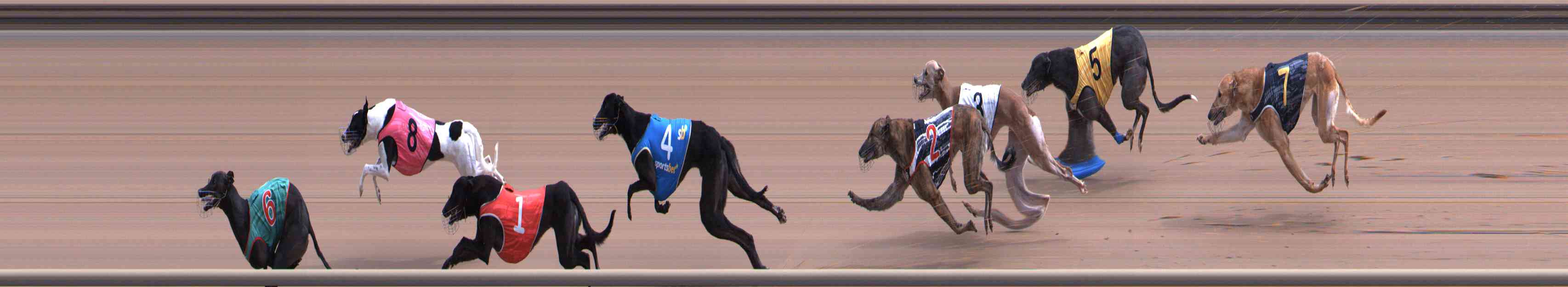 Photo finish for Healesville Race 3