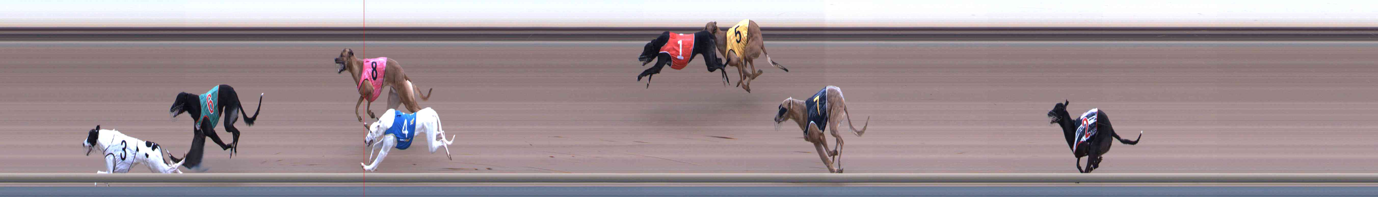 Photo finish for Healesville Race 4