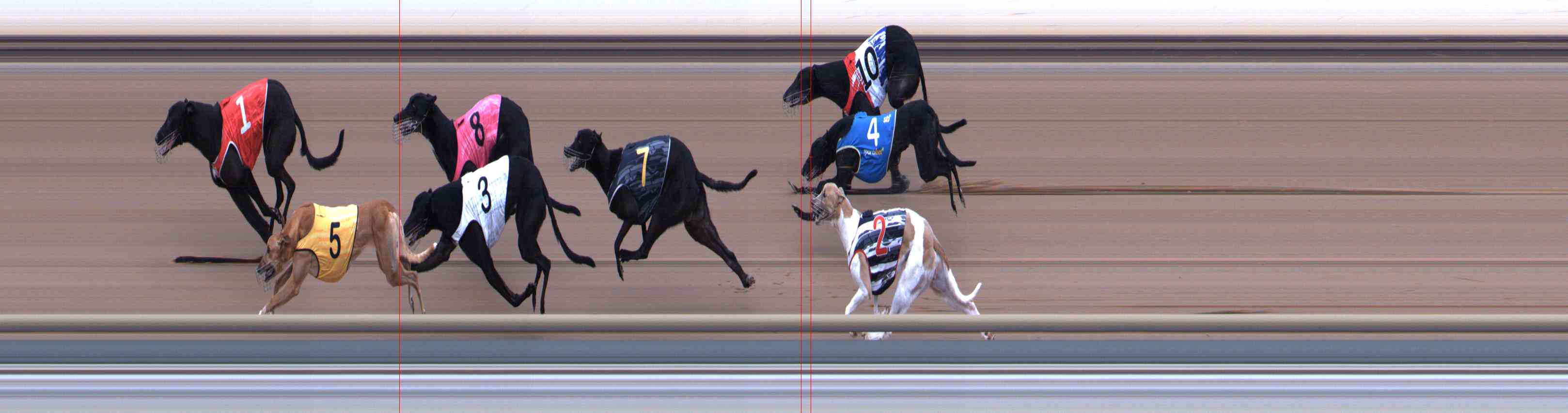 Photo finish for Healesville Race 5