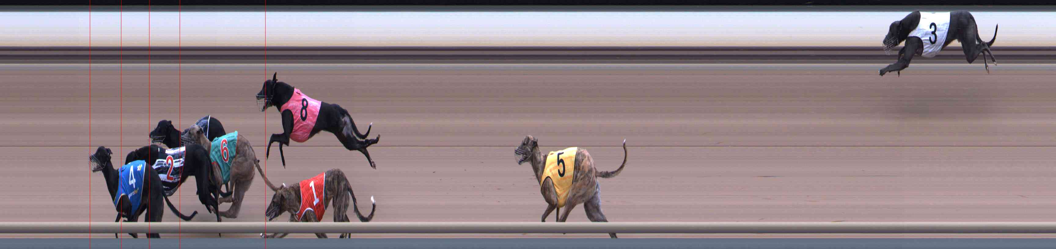 Photo finish for Healesville Race 6