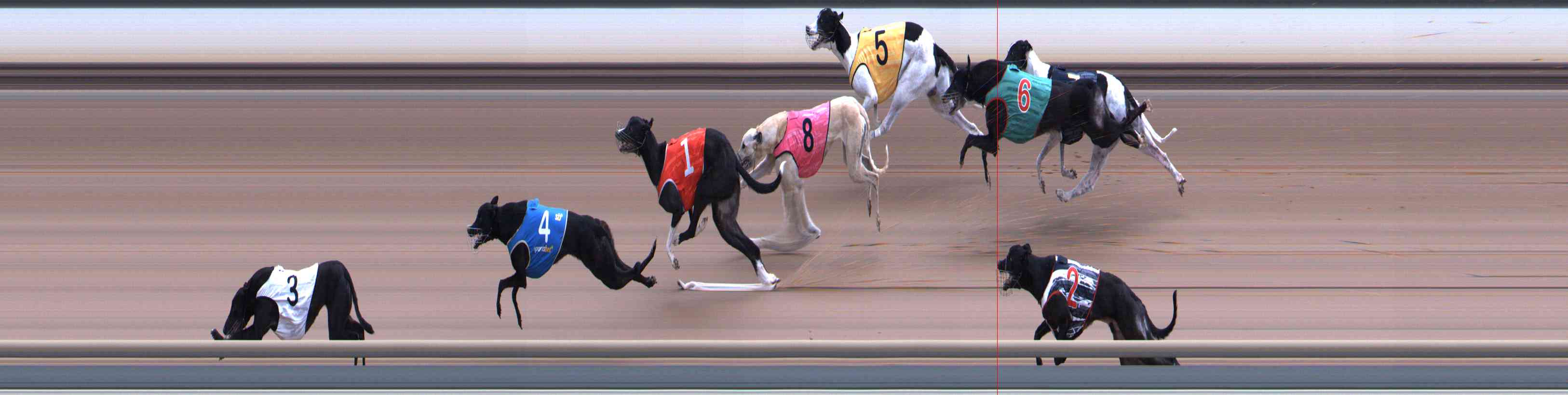 Photo finish for Healesville Race 7