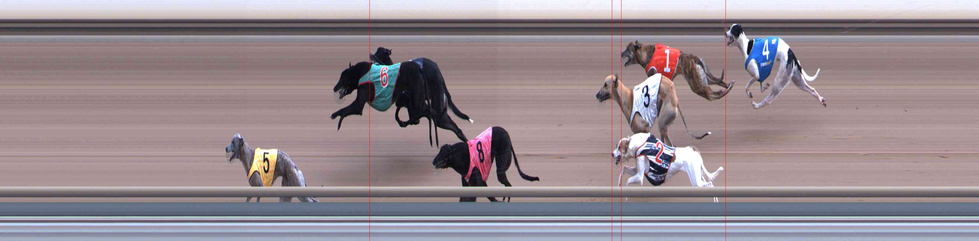 Photo finish for Healesville Race 8