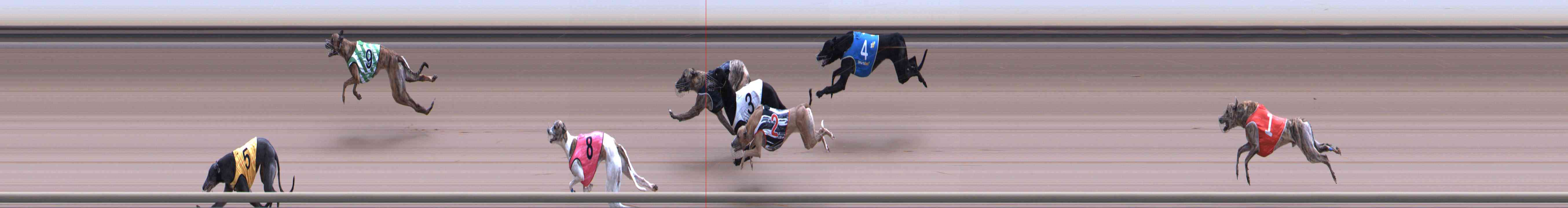 Photo finish for Healesville Race 9