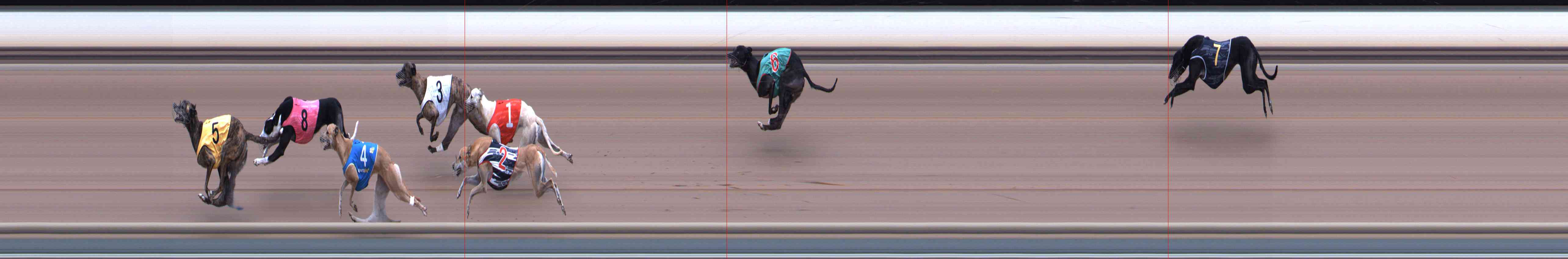 Photo finish for Healesville Race 10