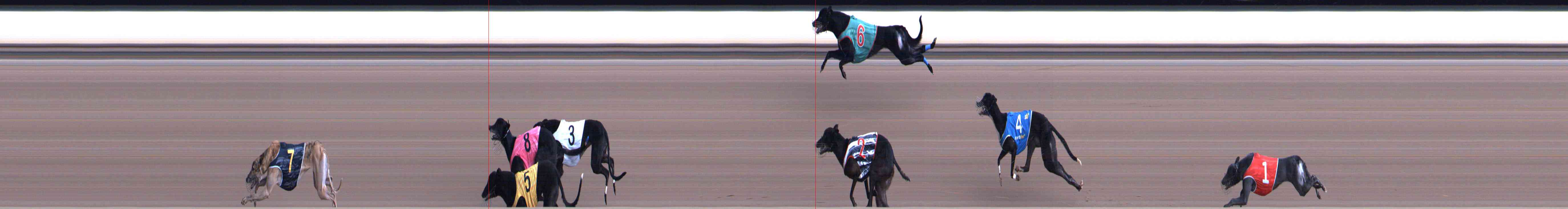 Photo finish for Healesville Race 12