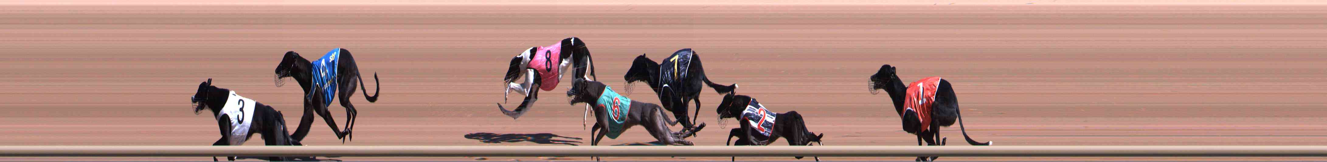 Photo finish for Healesville Race 1