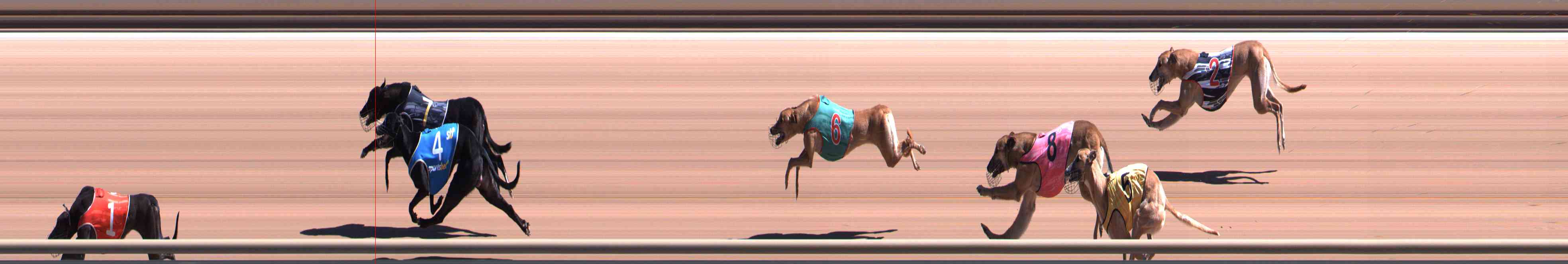 Photo finish for Healesville Race 4