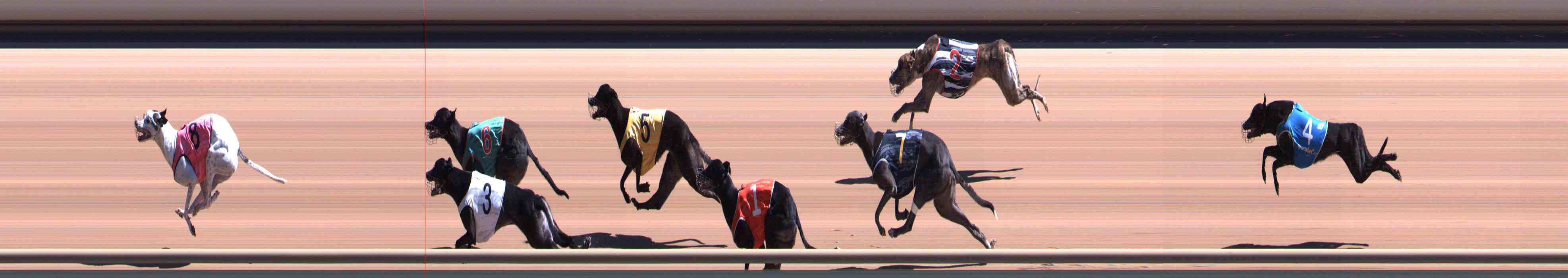 Photo finish for Healesville Race 5