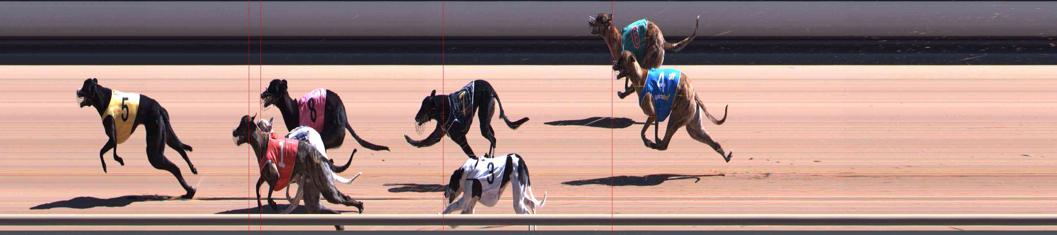 Photo finish for Healesville Race 6