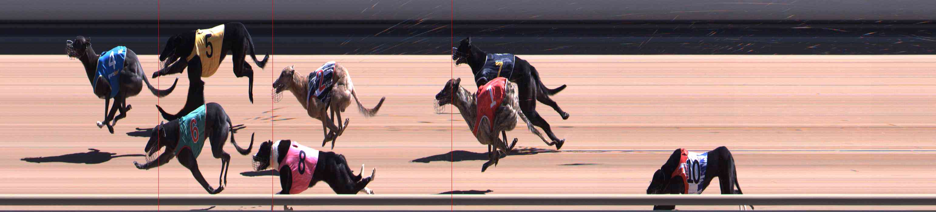 Photo finish for Healesville Race 7