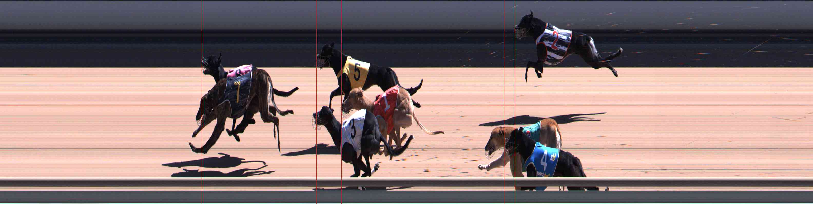 Photo finish for Healesville Race 8