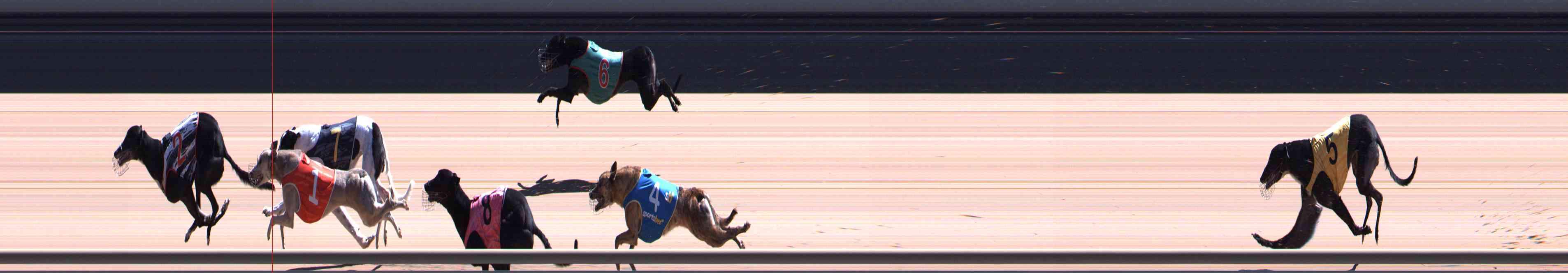 Photo finish for Healesville Race 10