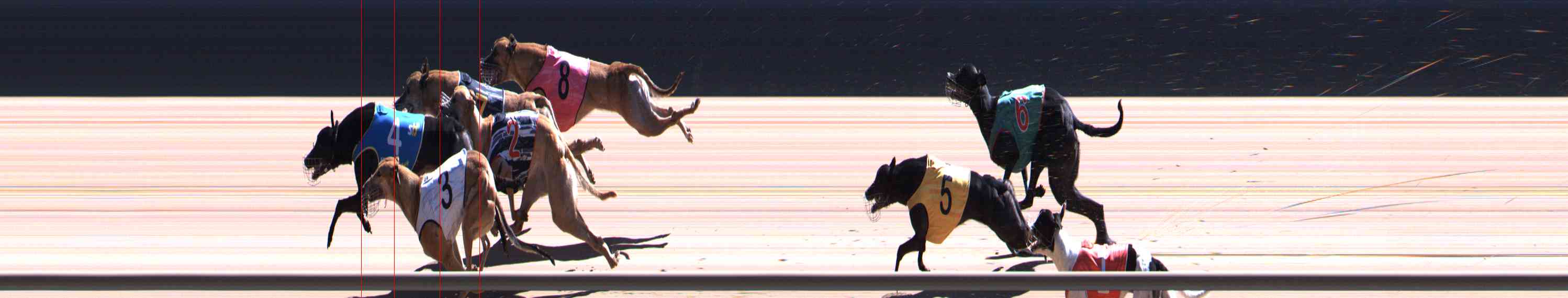 Photo finish for Healesville Race 11