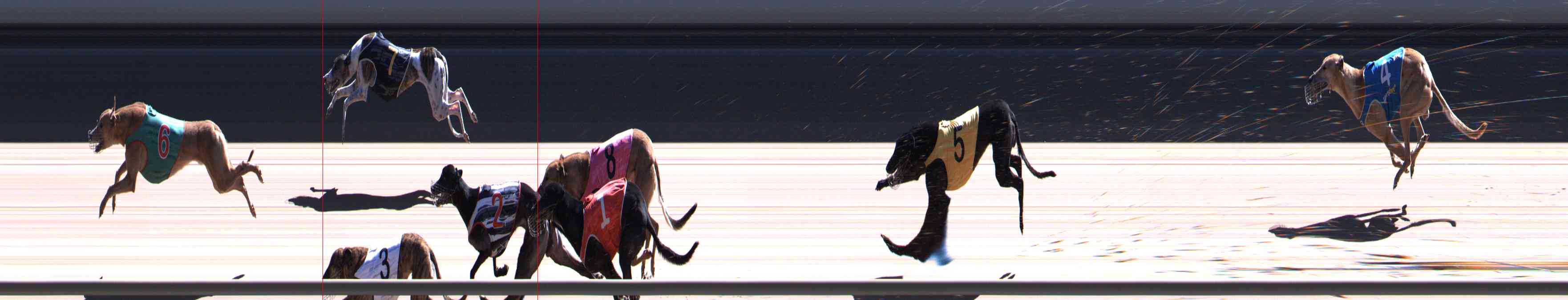 Photo finish for Healesville Race 12