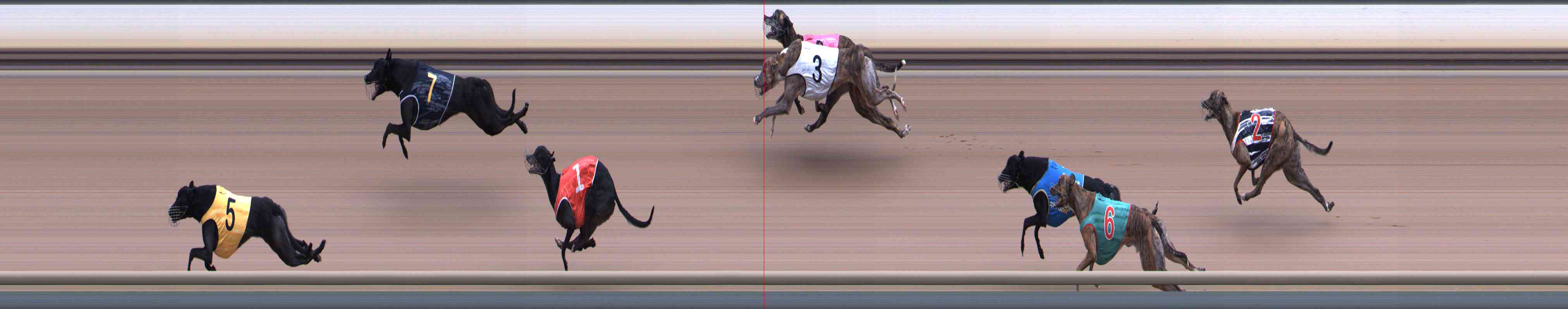Photo finish for Healesville Race 1