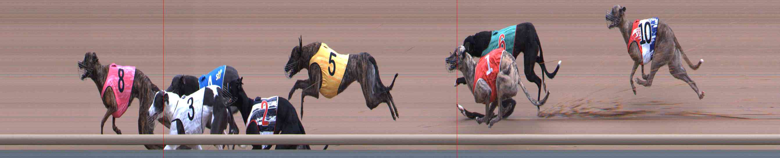 Photo finish for Healesville Race 2