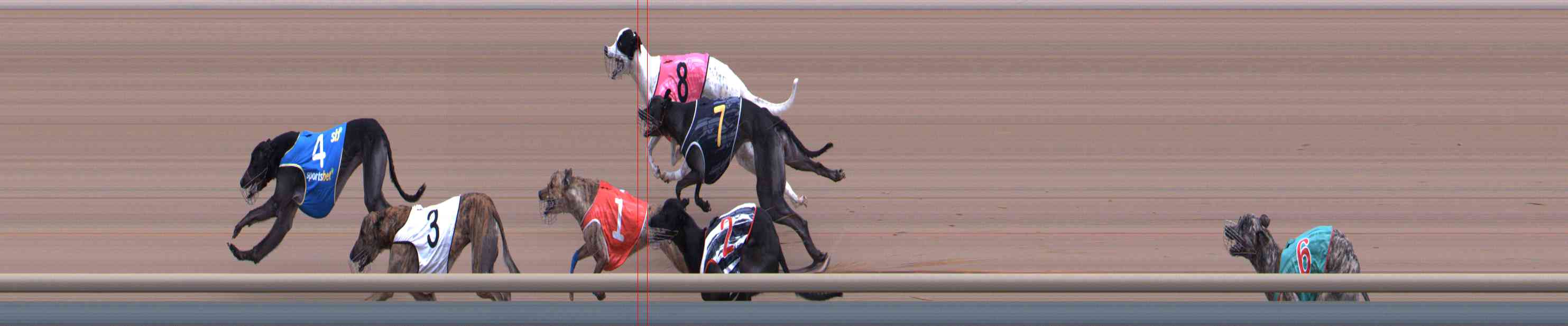 Photo finish for Healesville Race 3